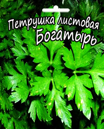 Богатырь - петрушка листовая, 2 г, Вассма Украина фото, цена
